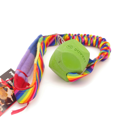 Erratic Ball Bungee Tug - Shorty