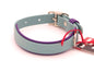 Small (10 - 13 inches) 1 inch - Double Layer Biothane - Sage over Purple - Nickel Plated Hardware