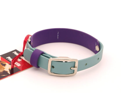 Small (10 - 13 inches) 1 inch - Double Layer Biothane - Sage over Purple - Nickel Plated Hardware