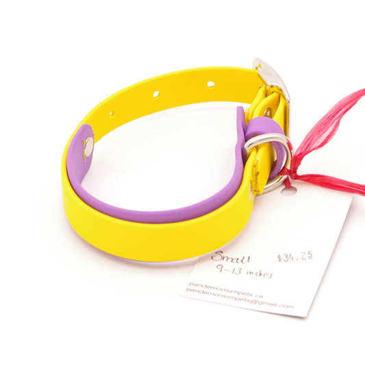 Small 1 inch collar - yellow and amethyst biothane
