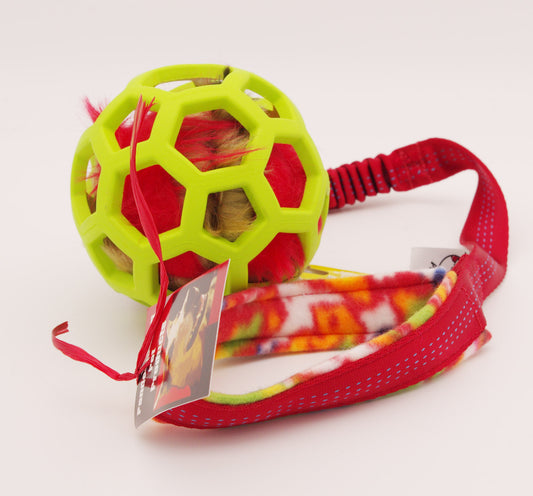 Medium Smelly Ball in a Holee with a Shorty Bungee Handle