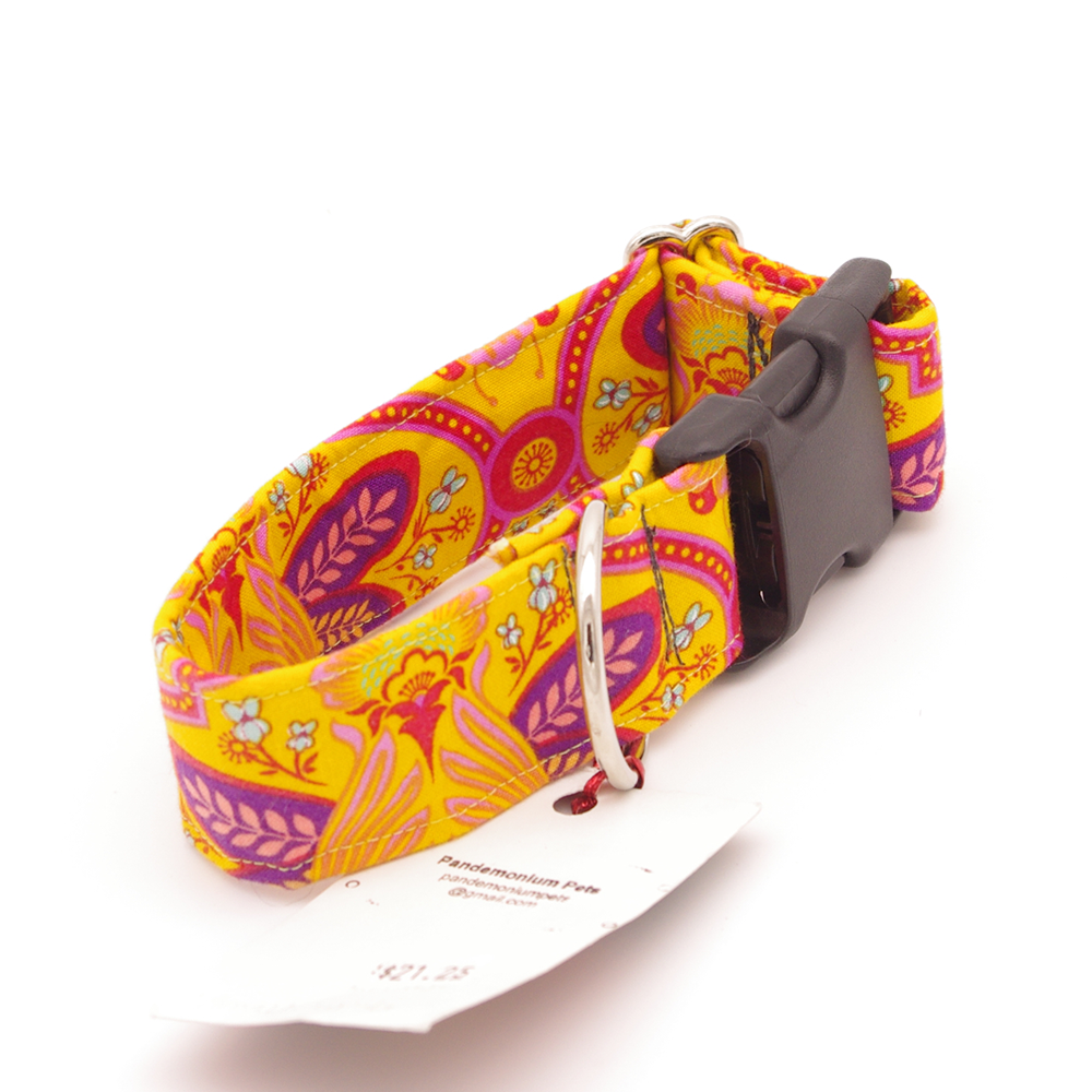 Orange Morris - Small, 1.5" wide collar