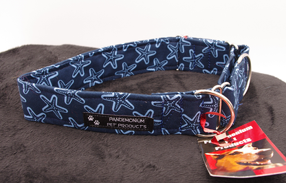 Blue Starfish Martingale