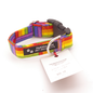 Rainbow - Xtra Small, 1" wide collar