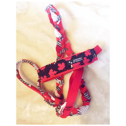 Slip Leash