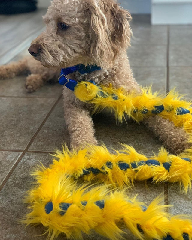 Slip Leash